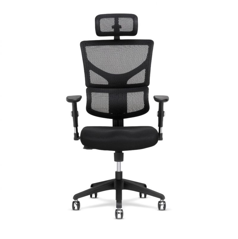 X-Basic Desk Chair