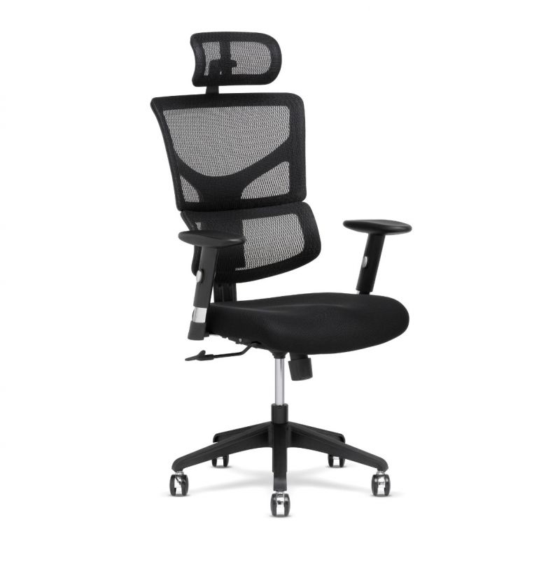 X-Basic STS Desk Chair